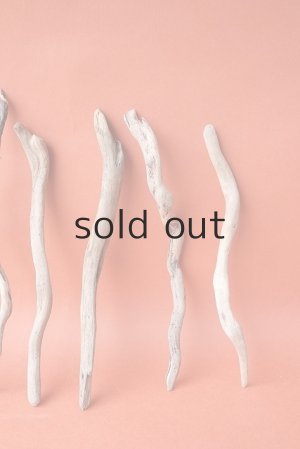 画像4: 流木根セット