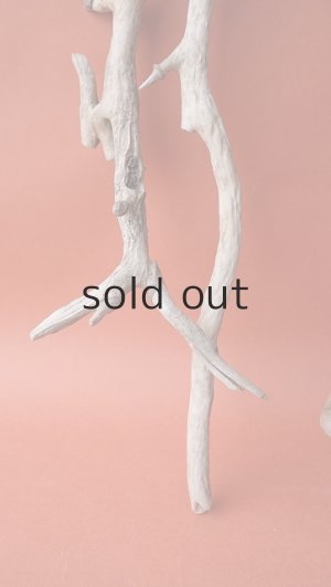 画像2: 流木根セット