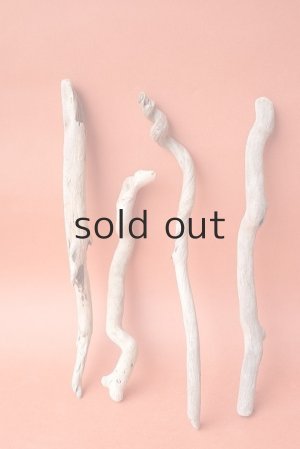 画像2: 流木根セット