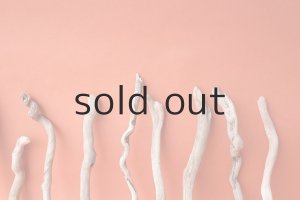 画像5: 流木根セット