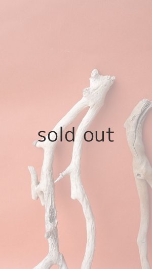 画像3: 流木根セット