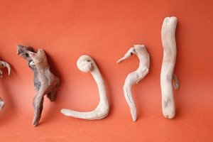 画像3: 流木根セット