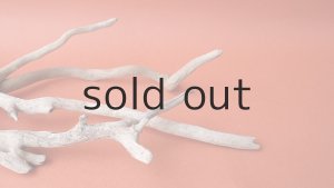 画像8: 流木根セット