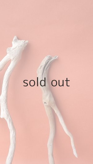 画像5: 流木根セット