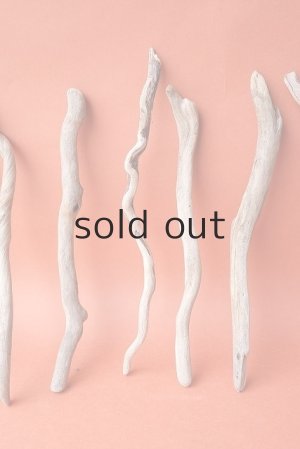 画像3: 流木根セット