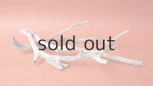 画像6: 流木根セット