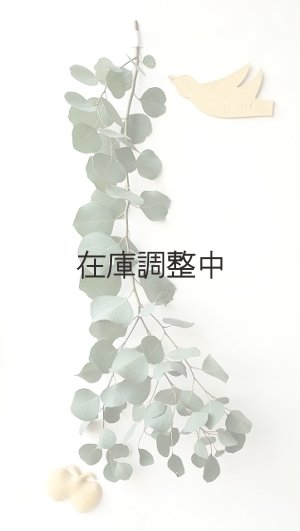 画像6: Dry plants for decor ユーカリ生切り幹（ポポラス）長尺タイプ1800mm