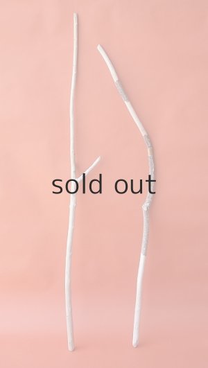 画像1: 枝流木セット