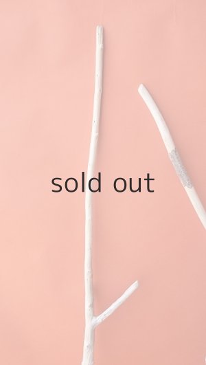 画像3: 枝流木セット