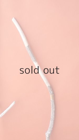 画像5: 枝流木セット