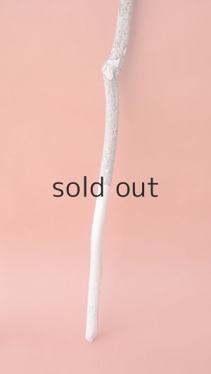 画像4: 枝流木セット