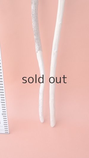 画像6: 枝流木セット