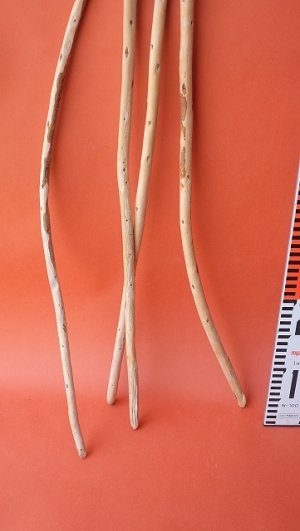 画像7: 棒流木セット