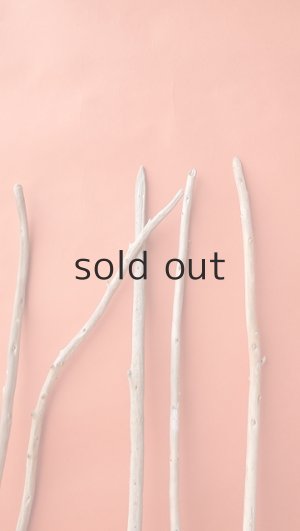 画像5: 棒流木セット