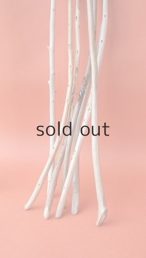 画像7: 棒流木セット