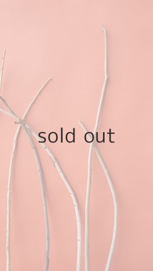 画像4: 棒流木セット