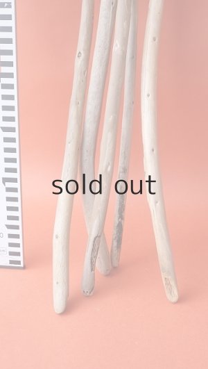 画像6: 棒流木セット