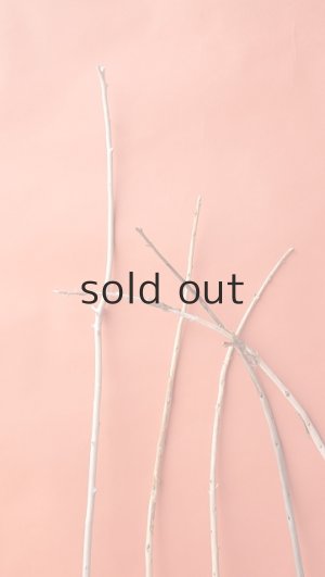 画像3: 棒流木セット