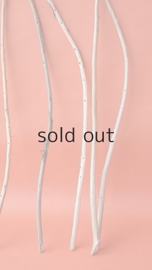 画像2: 棒流木セット