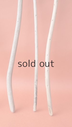 画像3: 棒流木セット