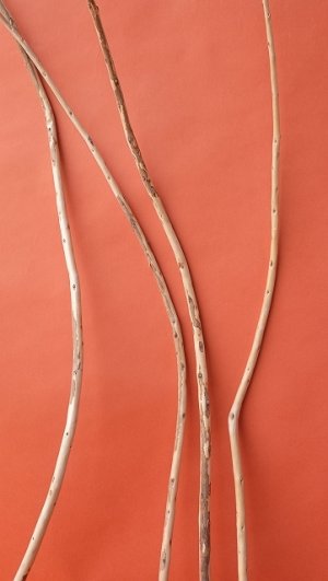 画像4: 棒流木セット