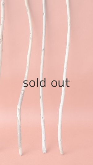 画像3: 棒流木セット