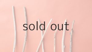 画像4: 棒流木セット