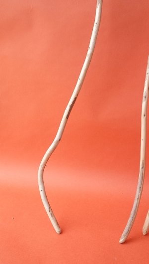 画像3: 棒流木セット