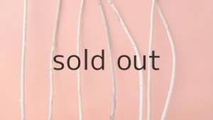 画像6: 棒流木セット