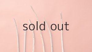 画像6: 棒流木セット