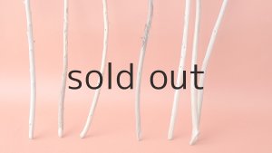 画像5: 棒流木セット