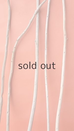 画像4: 棒流木セット