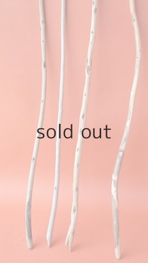 画像2: 棒流木セット