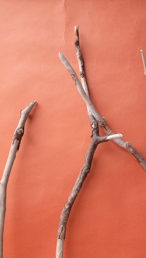 画像3: 小枝流木セット