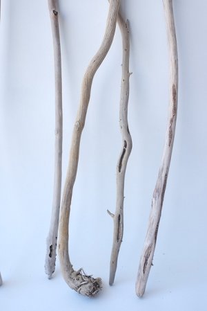 画像3: 小枝流木セット
