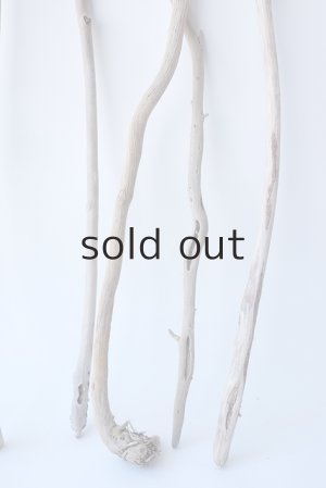 画像3: 小枝流木セット