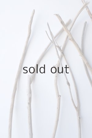 画像4: 小枝流木セット