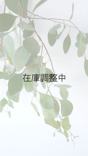 画像4: Dry plants for decor ユーカリ生切り枝（ポプルネア）タイプ700〜1000mm