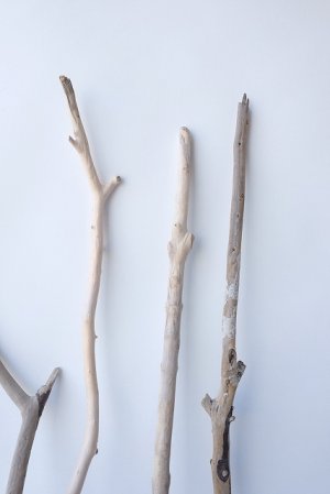 画像4: 小枝流木セット