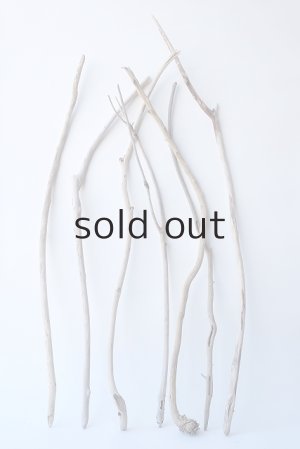 画像1: 小枝流木セット