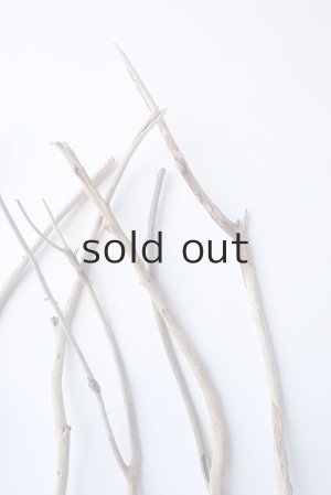 画像5: 小枝流木セット