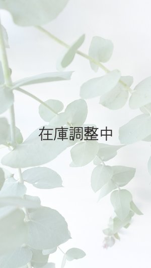 画像6: Dry plants for decor ユーカリ生切り枝（ブルーガム）タイプ700〜1000mm
