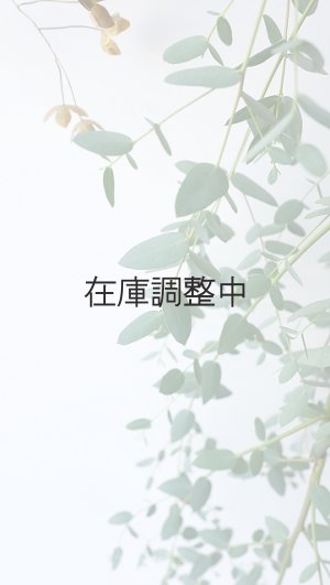 画像5: Dry plants for decor ユーカリ生切り枝（グニー）タイプ700〜1000mm