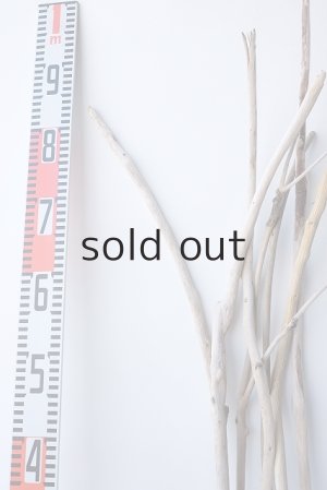 画像6: 小枝流木セット