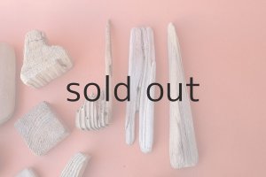 画像4: 板流木セット