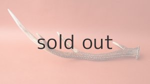 画像4: デコール用二ホンジカの角