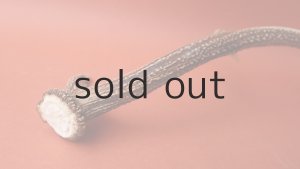 画像6: デコール用二ホンジカの角