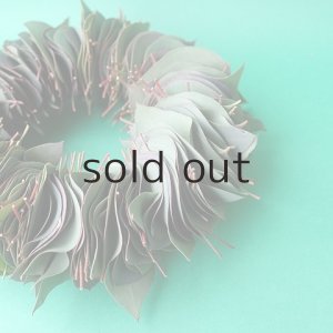 画像7: Dry plants for decor ユーカリリーフリース