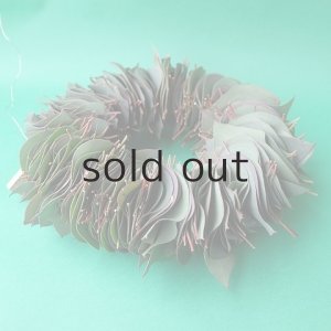 画像3: Dry plants for decor ユーカリリーフリース