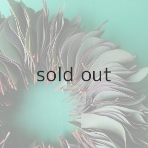 画像5: Dry plants for decor ユーカリリーフリース